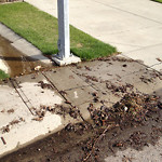 Drainage Issue on Road at 113–151 Hampshire Grove NW
