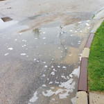Drainage Issue on Road at Arbour Crest Close NW