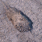 Potholes at 1901–1999 30 St SW