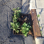 Drainage Issue on Road at 2633–2739 23 Ave SW