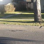Potholes at 1704 1760 62 Ave SE Calgary, Ab T2 C 2 C5