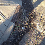 Drainage Issue on Road at 200–298 12 Ave NW