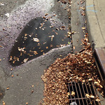 Drainage Issue on Road at 2101–2105 Hope St SW