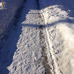 Snow on Pathway (old) at 34 6 A St NE