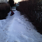 Snow on Pathway (old) at 57–149 Castledale Cres NE