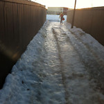 Snow on Pathway (old) at 180–298 Cranfield Pk SE