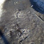 Snow on Pathway (old) at 1–17 Millrise Dr SW
