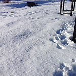 Snow on Pathway (old) at Silverado Plains Cir SW