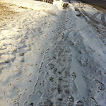 Snow on Pathway (old) at 3816–3898 Dover Ridge Dr SE