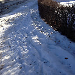 Snow on Pathway (old) at 6519–6575 Silver Springs Cres NW