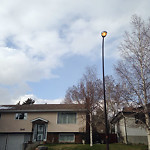 Streetlight One Out Residential Road at 5039 Dalhart Rd NW
