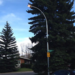 Streetlight One Out Residential Road at 584–616 94 Ave SE