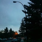 Streetlight One Out Residential Road at 1721 49 Ave SW Calgary, Ab T2 T 2 T9