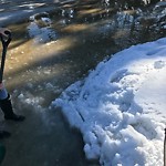 Catch Basin Other Concerns (OLD) at 6725 Laird Co SW