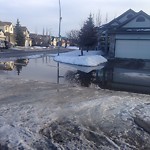 Catch Basin Other Concerns (OLD) at 3 Wentworth Ci SW