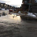 Catch Basin Other Concerns (OLD) at 139 Cougar Ridge Mr SW