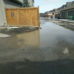 Catch Basin Other Concerns (OLD) at 460 Marquis Ht SE