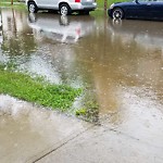 Catch Basin Flooding / Pooling (old) at 3 Prestwick Ln SE
