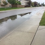 Catch Basin Flooding / Pooling (old) at 1021 Panorama Hills Ld NW