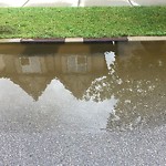 Catch Basin Flooding / Pooling (old) at 5057 Elgin Ave SE Mc Kenzie Towne