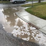 Catch Basin Flooding / Pooling (old) at 854 Northmount Dr NW