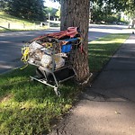 Debris on Street, Sidewalk, Boulevard at 4 Gladstone Gd SW