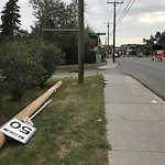 Sign on Street, Lane, Sidewalk - Repair or Replace at 17 Ave SW & Scarboro Ave Bankview Calgary