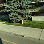 Fire Hydrant Concerns at 1320 12 Av SW