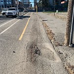 Road Repair at 519 12 Av SE