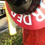 Fire Hydrant Concerns at 3333 34 Av NE