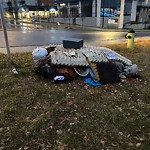 Debris on Street, Sidewalk, Boulevard at 14320 6 St SW