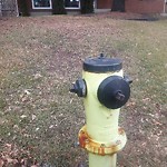 Fire Hydrant Concerns at 9404 24 St SW