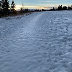 Snow on Pathway or City-maintained Sidewalk at 55 Sienna Park Gv SW