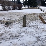 Fence in/around a Park - Repair at 4125 7 Av SW