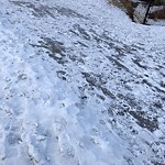 Snow on Pathway or City-maintained Sidewalk at 24 Tuscany Ravine Ld NW
