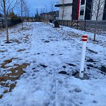 Snow on Pathway or City-maintained Sidewalk at 8520 8 A Av SW