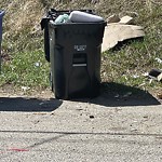 Debris on Backlane(OLD) at 115 Huntington Park Gr NW