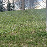 Fence in/around a Park - Repair at 11506 Bonaventure Dr SE