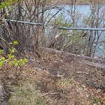 Fence in/around a Park - Repair at 1130 4 Av SW