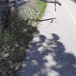 Shared Pedestrian and Cycling Path - Repair at 4270 Ogden Rd SE