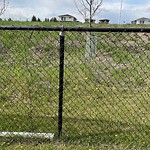 Fence, Noise Barrier, Retaining Wall on City Property - Repair at 38 Strathridge Wy SW