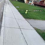 Shared Pedestrian and Cycling Path - Repair at 6301 4 St NW