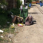 Debris on Backlane(OLD) at 1840 43 St SE