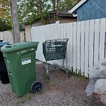 Debris on Backlane(OLD) at 1302 Mardale Dr NE