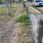 Fence, Noise Barrier, Retaining Wall on City Property - Repair at 399 Riverglen Dr SE