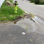 Fire Hydrant Concerns at 148 Woodford Dr SW