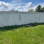Fence, Noise Barrier, Retaining Wall on City Property - Repair at 238 Coville Ci NE