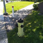 Fire Hydrant Concerns at 256 Kincora Ht NW