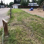 Fence in/around a Park - Repair at 4207 49 St NW
