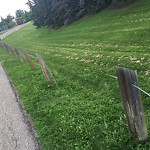 Fence in/around a Park - Repair at 344 42 Av SW